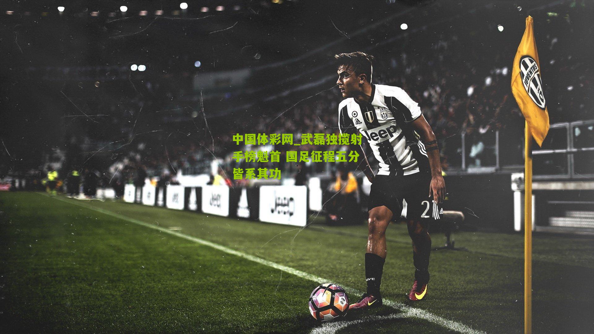 武磊独揽射手榜魁首 国足征程五分皆系其功